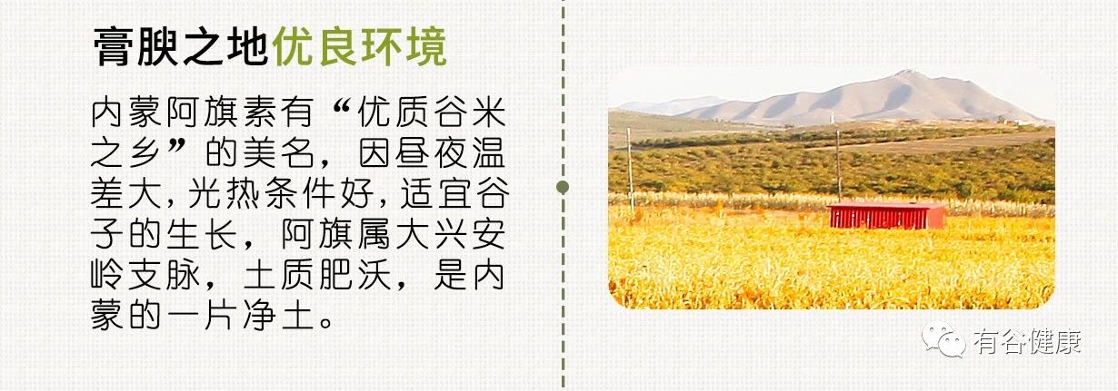 原生态粗粮小米.jpg