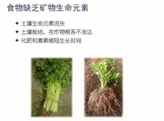 微信图片_20210705112437.jpg