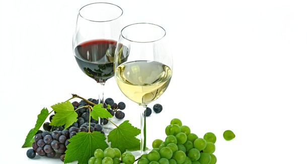 葡萄酒,红酒,进口红酒,进口葡萄酒,德国葡萄酒,有谷进口葡萄酒