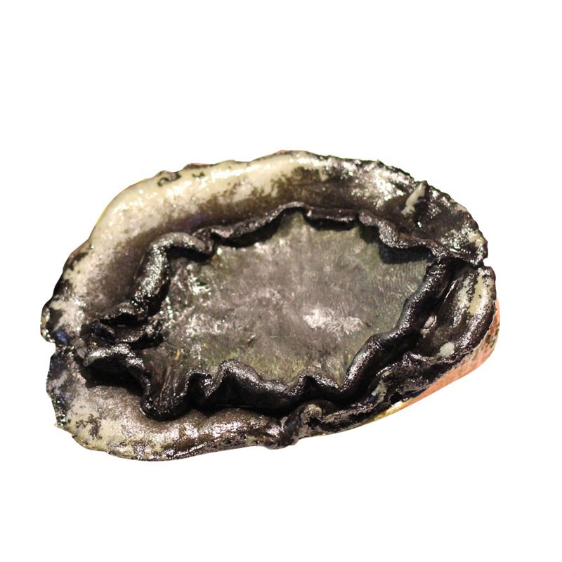 新西兰黑金鲍